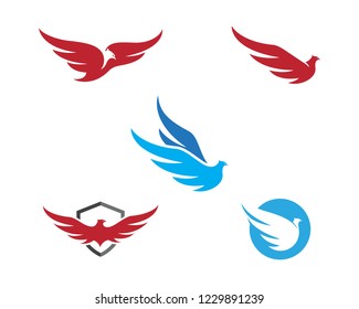 Falcon Logo Template vector illustration design
