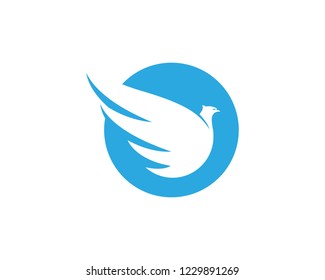 Falcon Logo Template vector illustration design