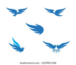 Falcon Logo Template vector illustration design