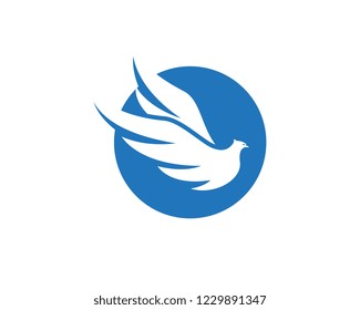 Falcon Logo Template vector illustration design