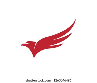 Falcon Logo Template vector illustration design