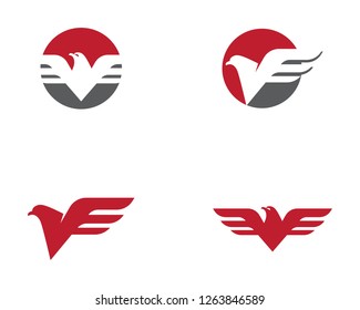 Falcon Logo Template vector illustration design