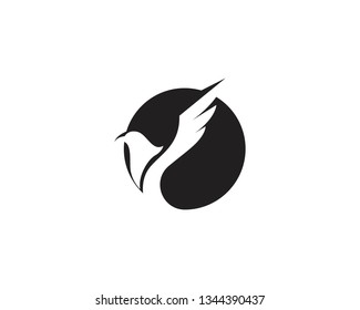 Falcon Logo Template vector illustration design