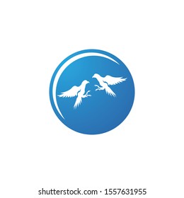 Falcon logo template vector illustration design