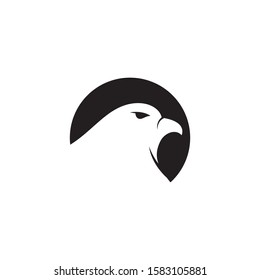 Falcon Logo Template vector illustration design