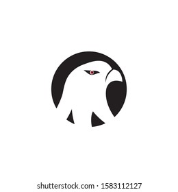 Falcon Logo Template vector illustration design