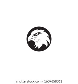 Falcon Logo Template vector illustration design