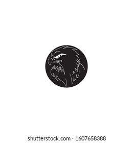 Falcon Logo Template vector illustration design