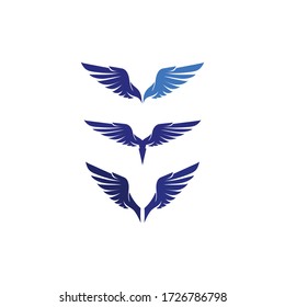Diseño de ilustraciones vectoriales de la plantilla de logotipo de Falcon