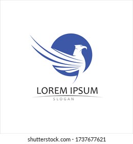 Diseño de ilustraciones vectoriales de la plantilla de logotipo de Falcon