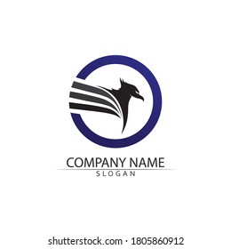 Modelo de logotipo de halcón Ilustración vectorial diseño animal y águila