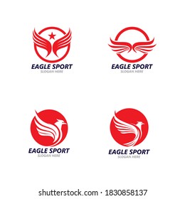 Falcon Logo Template vector illustration design