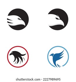 Falcon Logo Template vector illustration design