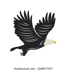 Diseño de ilustración vectorial de la plantilla de logotipo de Falcon
