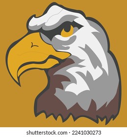 Falcon mascot with golden beak and white feather. Portrait vector of bald eagle mostly popular in USA having dark yellow background.