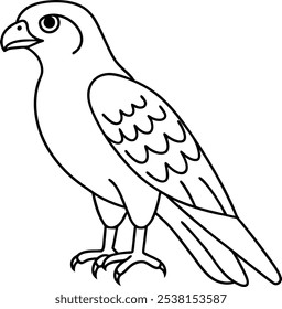 Falcon outline vector art. Line art falcon illustration design. Illustration of eagle, hawk, falcon. drawing with line art on white backgrounds.