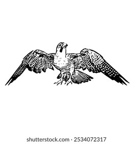 O Falcon ícone do logotipo peregrino ilustração design isolado 