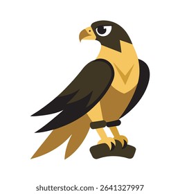 Falcon Resting Calmly On Falconer Glove
