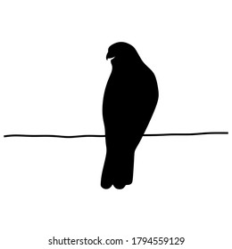 falcon silhouette vector design art