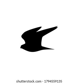 falcon silhouette vector design art