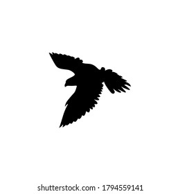 falcon silhouette vector design art