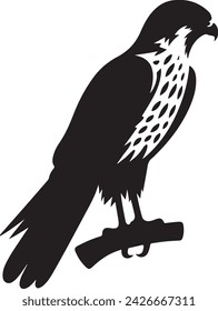 Falcon silhouette vector illustration 25463