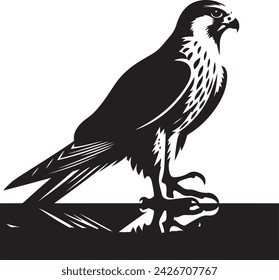 Falcon silhouette vector illustration, c l i p a r t