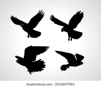 Falcon Silhouette Vectors and Illustrations