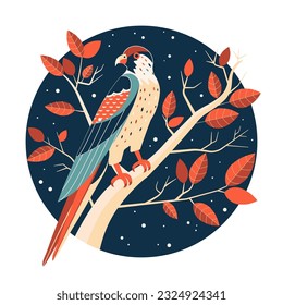 Falcon sitting on tree against night sky. Colorful bird of prey sits on branch with leaves. Circle shape icon with kestrel raptor bird in nature.