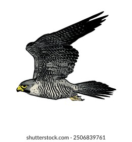 The Falcon super fast flying logo template design 