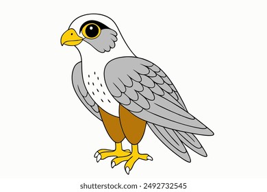A Falcon vector art illustration