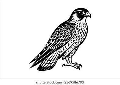 falcon vector, icon vector illustration,  falcon silhouette of a falcon  isolated on a white background, eps, png, ,  vector,