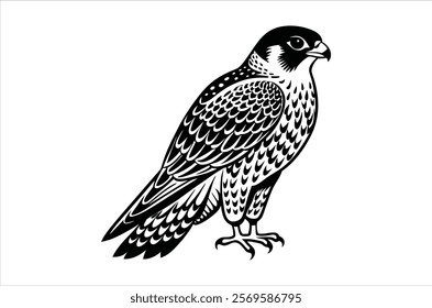 falcon vector, icon vector illustration,  falcon silhouette of a falcon  isolated on a white background, eps, png, ,  vector,