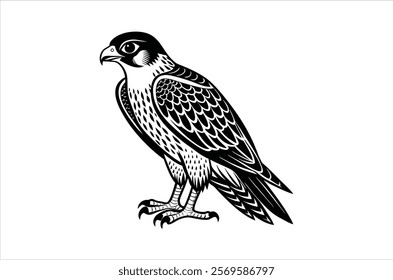 falcon vector, icon vector illustration,  falcon silhouette of a falcon  isolated on a white background, eps, png, ,  vector,