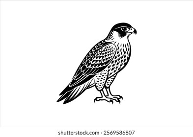 falcon vector, icon vector illustration,  falcon silhouette of a falcon  isolated on a white background, eps, png, ,  vector,