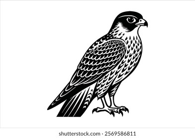 falcon vector, icon vector illustration,  falcon silhouette of a falcon  isolated on a white background, eps, png, ,  vector,