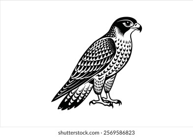 falcon vector, icon vector illustration,  falcon silhouette of a falcon  isolated on a white background, eps, png, ,  vector,