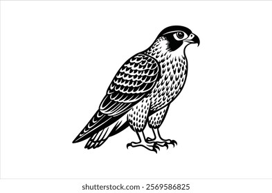 falcon vector, icon vector illustration,  falcon silhouette of a falcon  isolated on a white background, eps, png, ,  vector,