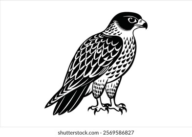 falcon vector, icon vector illustration,  falcon silhouette of a falcon  isolated on a white background, eps, png, ,  vector,