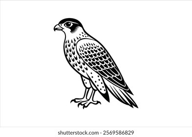 falcon vector, icon vector illustration,  falcon silhouette of a falcon  isolated on a white background, eps, png, ,  vector,