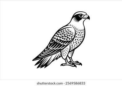 falcon vector, icon vector illustration,  falcon silhouette of a falcon  isolated on a white background, eps, png, ,  vector,