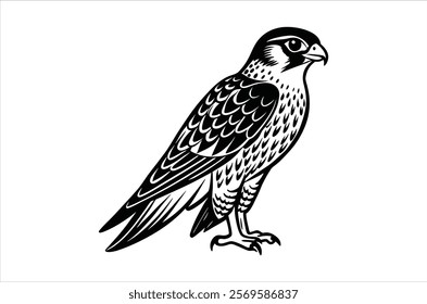 falcon vector, icon vector illustration,  falcon silhouette of a falcon  isolated on a white background, eps, png, ,  vector,