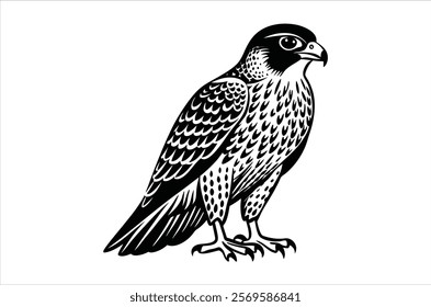 falcon vector, icon vector illustration,  falcon silhouette of a falcon  isolated on a white background, eps, png, ,  vector,