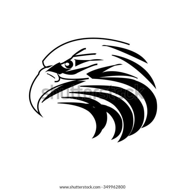 Falcon Vector Illustrator Stock Vector Royalty Free