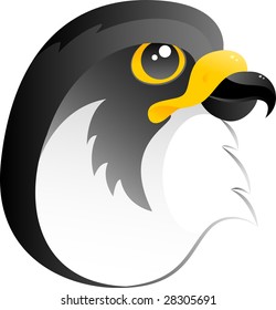Falcon, vector, isolated on white
