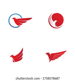 Falcon wing icon Template vector illustration design