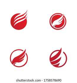 Falcon wing icon Template vector illustration design