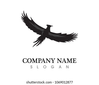 Falcon Wing Logo Template vector icon design
