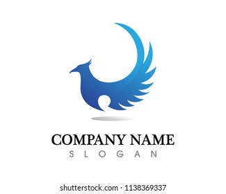 Falcon Wing Logo Template vector icon design
