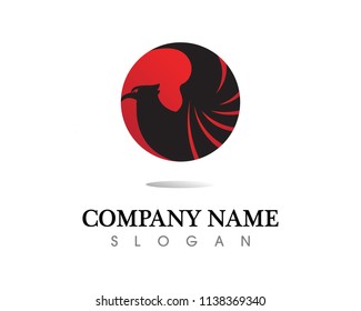 Falcon Wing Logo Template vector icon design
